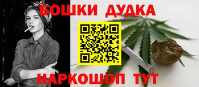 МДПВ Славгород