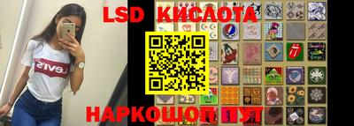твердый Сланцы
