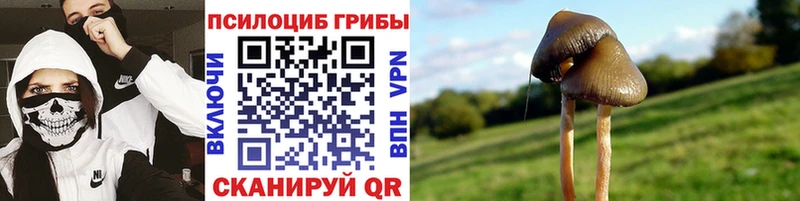 Галлюциногенные грибы прущие грибы  Черкесск 