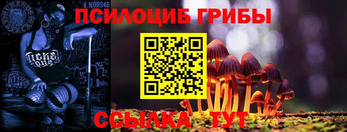 Галлюциногенные грибы GOLDEN TEACHER Черкесск