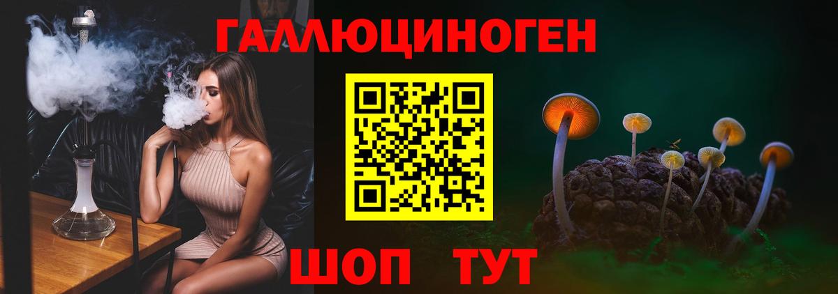 Псилоцибиновые грибы Cubensis  Вход с VPN  Черкесск 